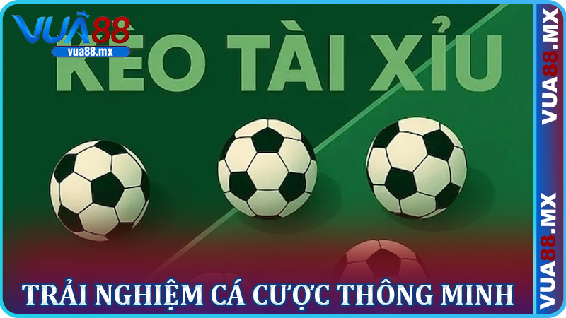 Vì sao Vua88 là sân chơi lý tưởng cho kèo Tài Xỉu 2.5