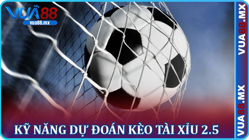 Kỹ năng dự đoán kèo Tài Xỉu 2.5 – Chiến thuật thượng thừa
